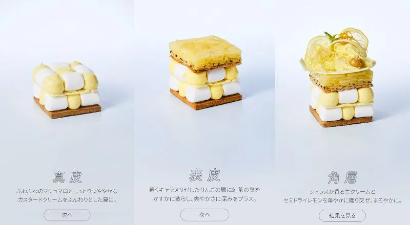 資生堂ジャパン — 肌パフェ SKIN CHECK 2