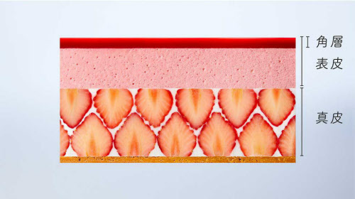 資生堂ジャパン — 肌パフェ SKIN CHECK 4