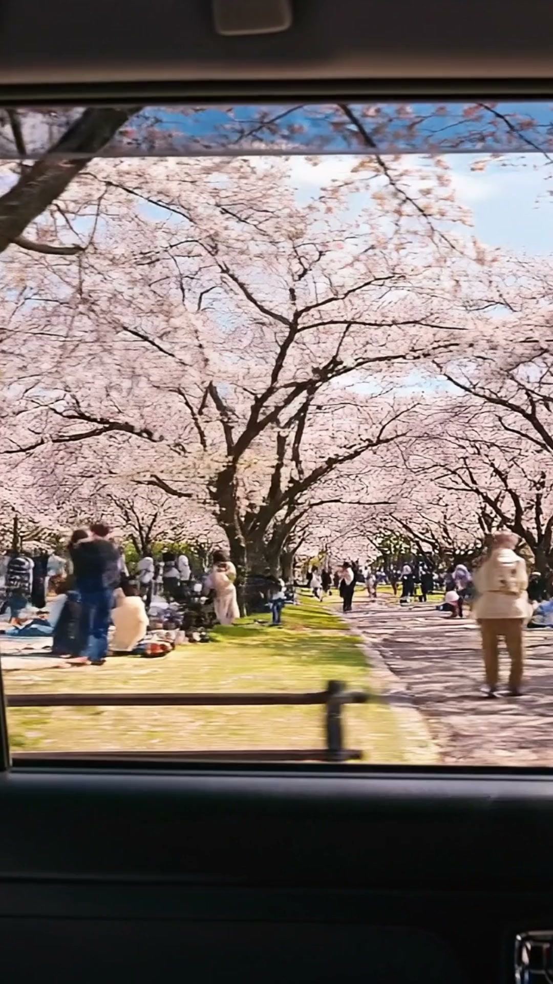 Uber — Uber Taxi｜Hello Spring 4